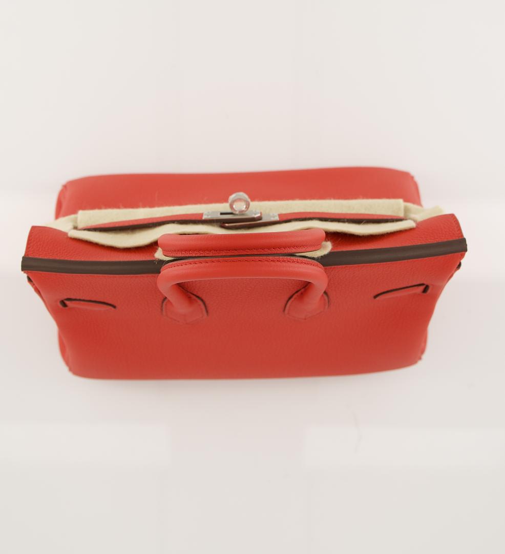 Birkin 25