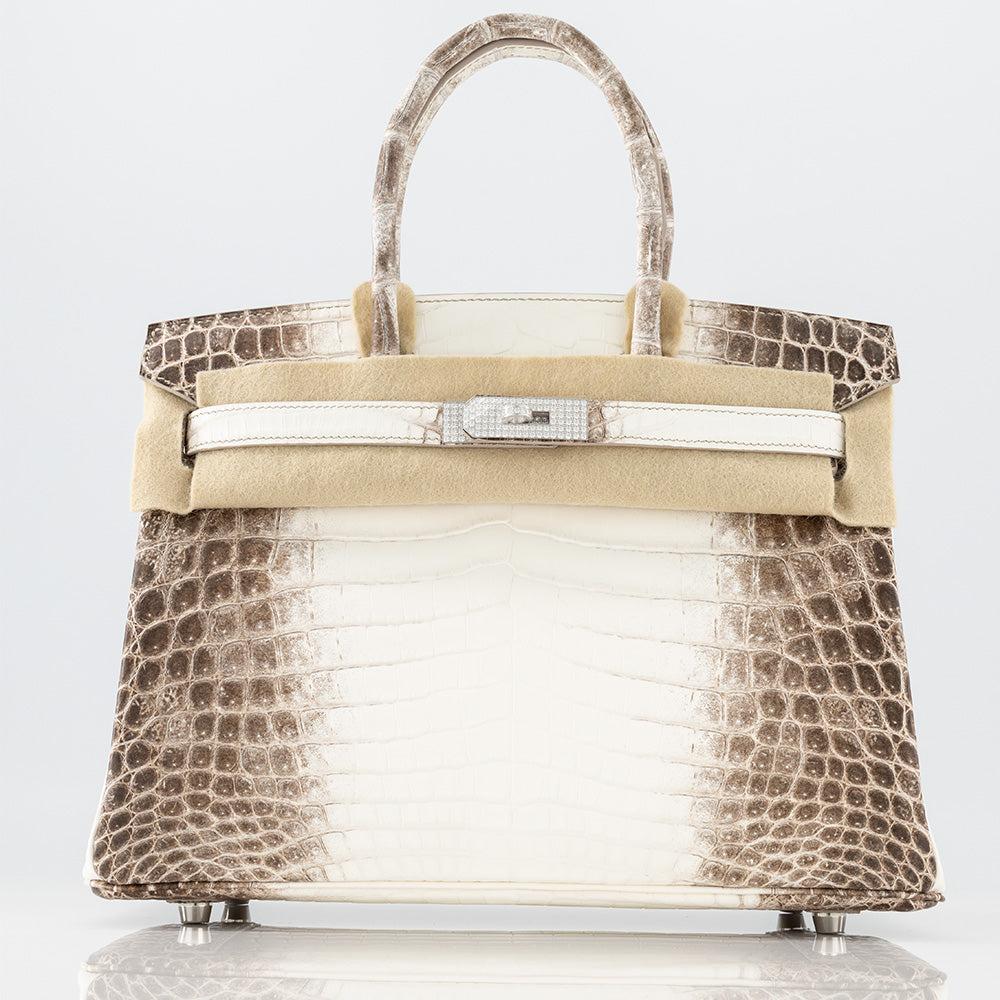 Hermès Birkin 30 Matte Himalayan Nilo Crocodile Diamond Extraordinary Collection White Gold Hardware