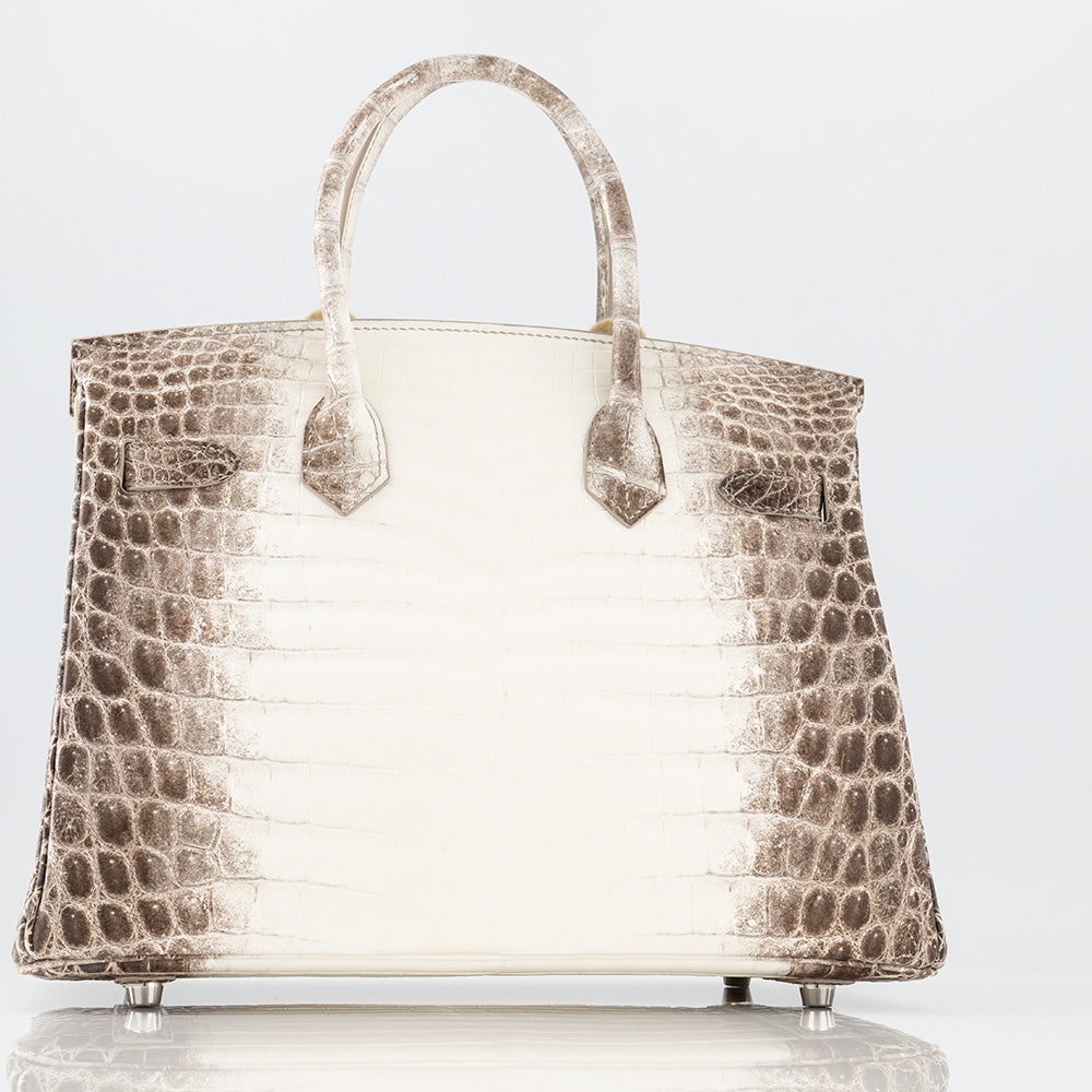 Hermès Birkin 30 Matte Himalayan Nilo Crocodile Diamond Extraordinary Collection White Gold Hardware